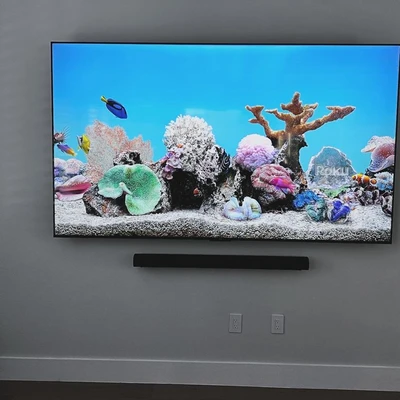 The TV Guy
