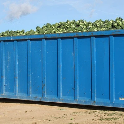 Affordable Dumpster Rental
