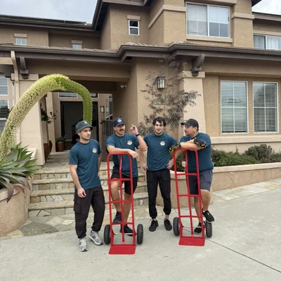 Must Have Movers
