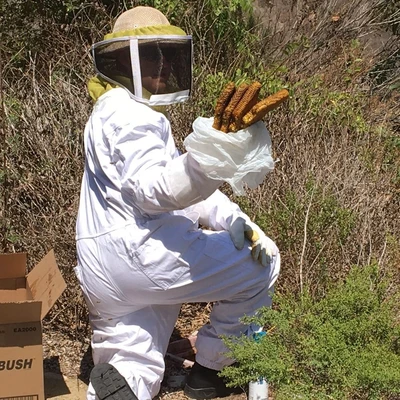 Green Flash Pest & Termite Control