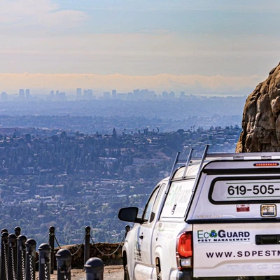 EcoGuard Pest Management
