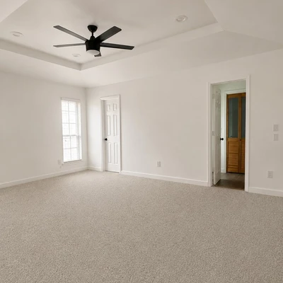 Carpet Doctor