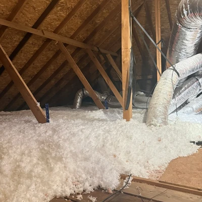Penguin Insulation