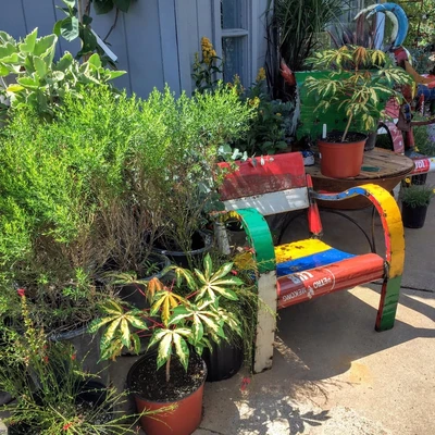 Redenta's Garden