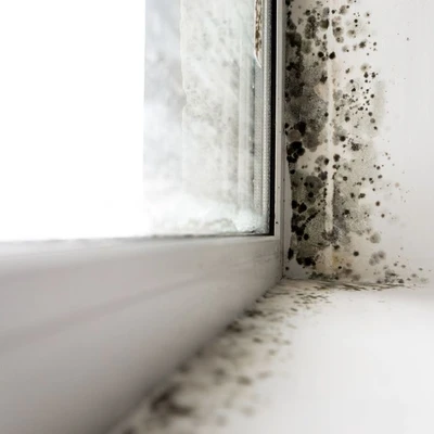 AdvantaClean