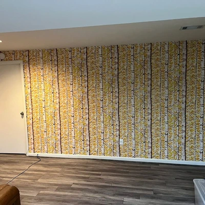 Lewis Fine Finish Wallpapering