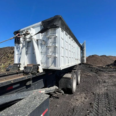 TJ Zebra Dumpsters