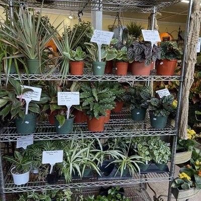 Banner Nursery & Garden Center