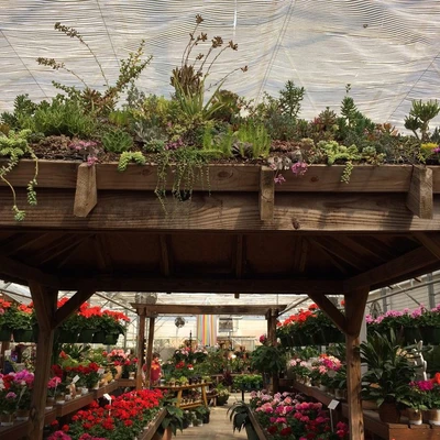 Rountree Nursery & Supply