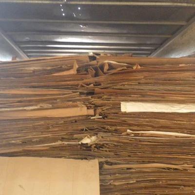 Evergreen Paper Recycling