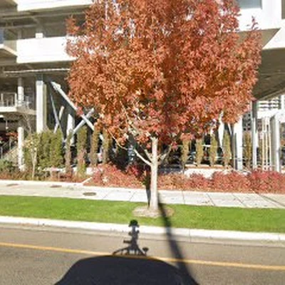 Boise Heating & Cooling Service