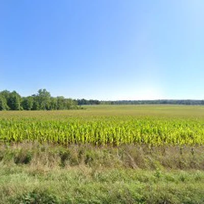 &