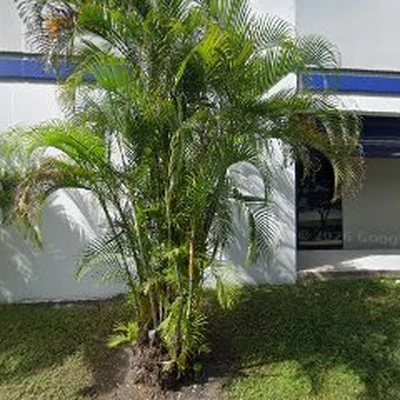 Hialeah Gardens Plumbing