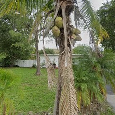 Union Restoration