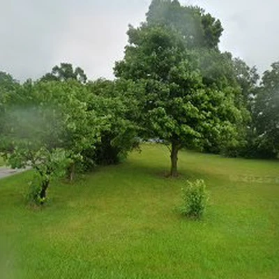 Live Oak Electric