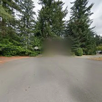 Active Termite Pest Control Service Bothell, Wa