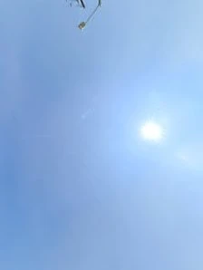 &