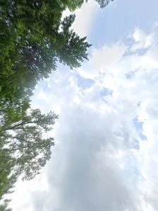&