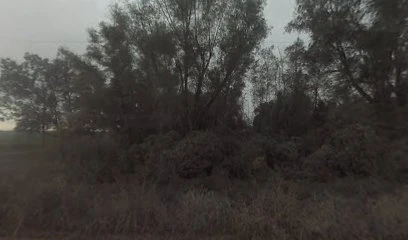 &