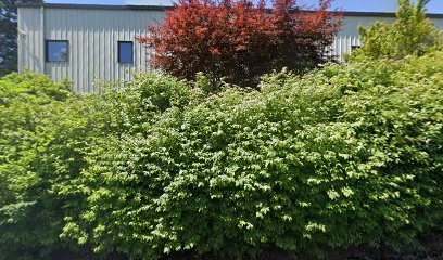 &