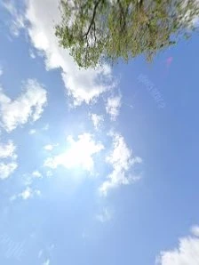 &