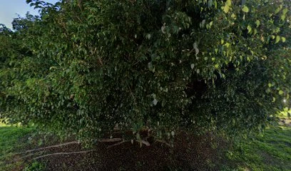 &