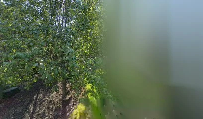 &