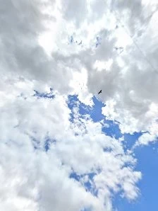 &