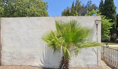 &