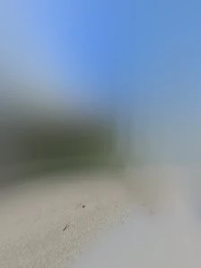 &