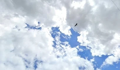 &