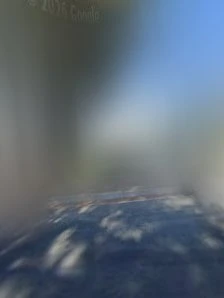 &