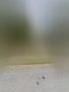 &