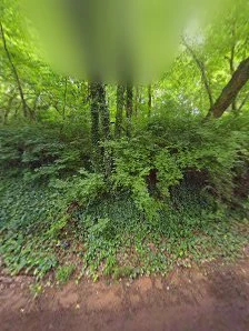 &