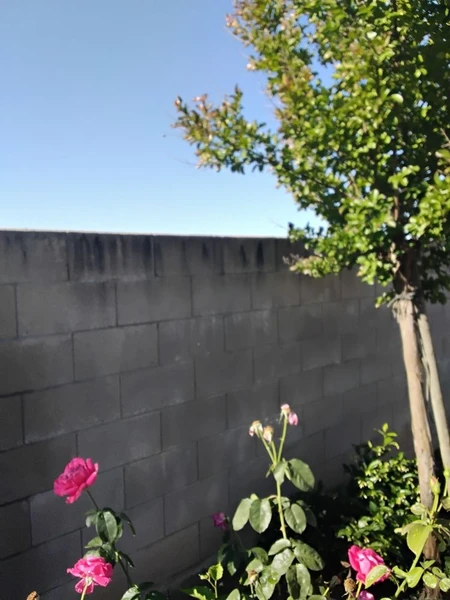 &