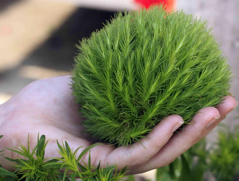 &