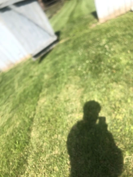 &
