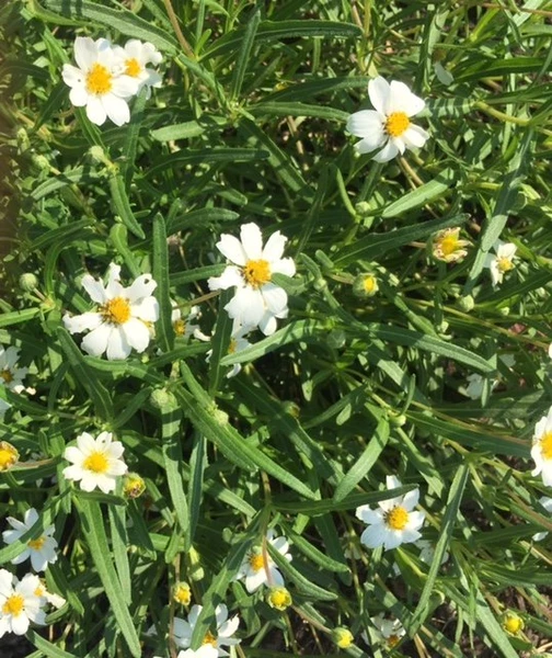 &