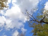 &