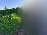 &