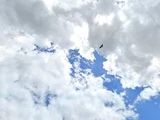 &