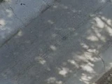 &