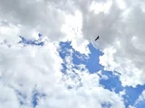 &