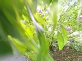 &