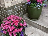 &