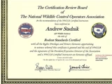 &