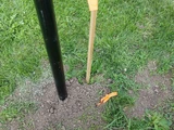 &