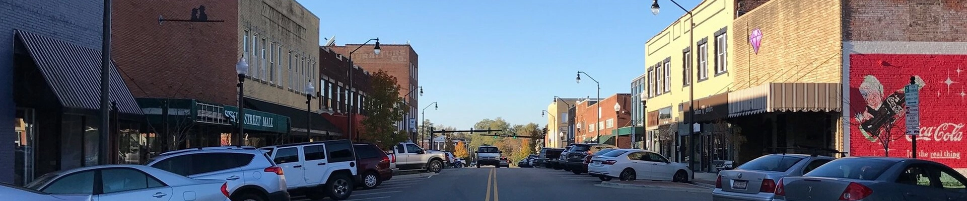 Local pros in Sanford, NC