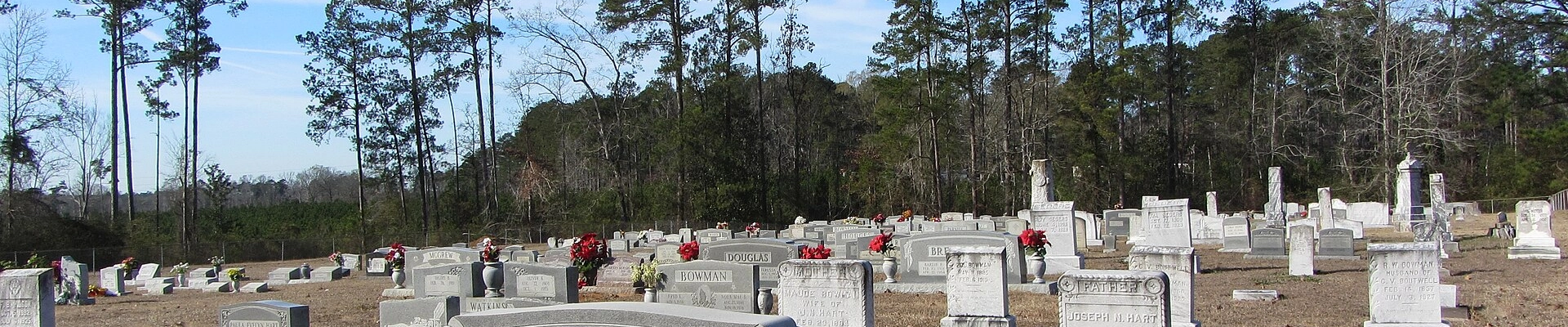 Local pros in Mt Olive, MS