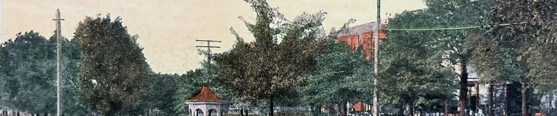 Tree providers in Belton